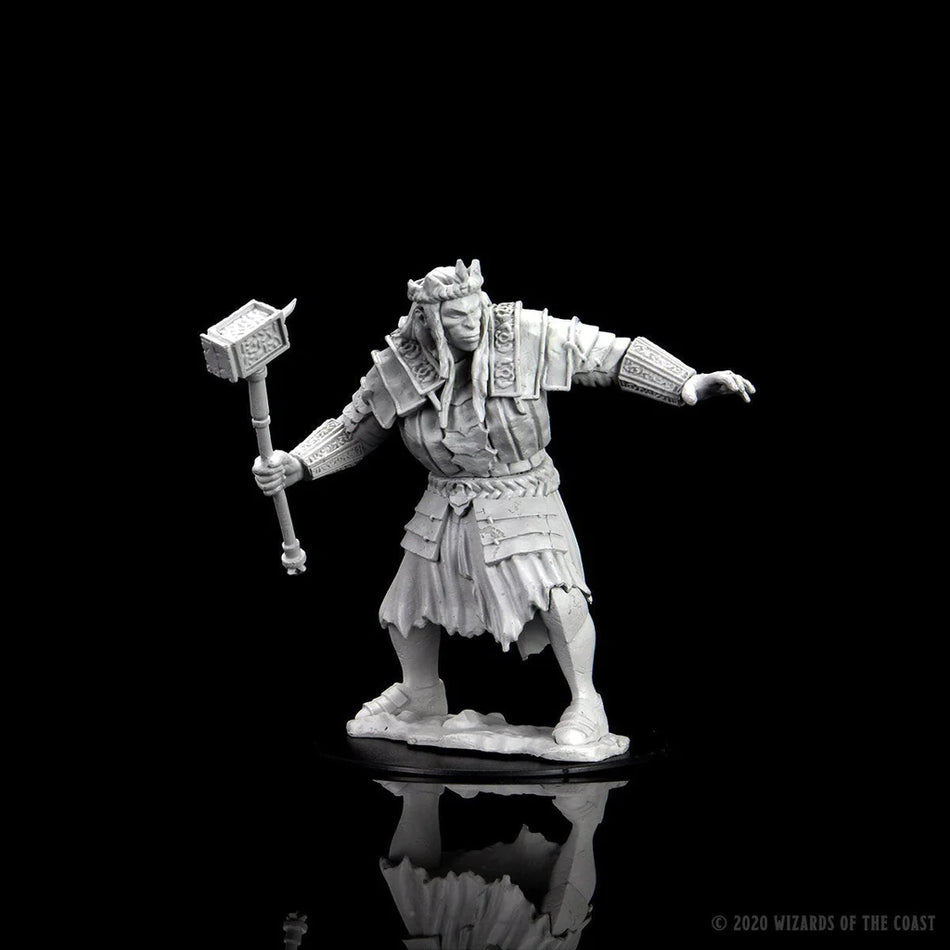 D&D Nolzur's Marvelous Miniatures: Fire Giant