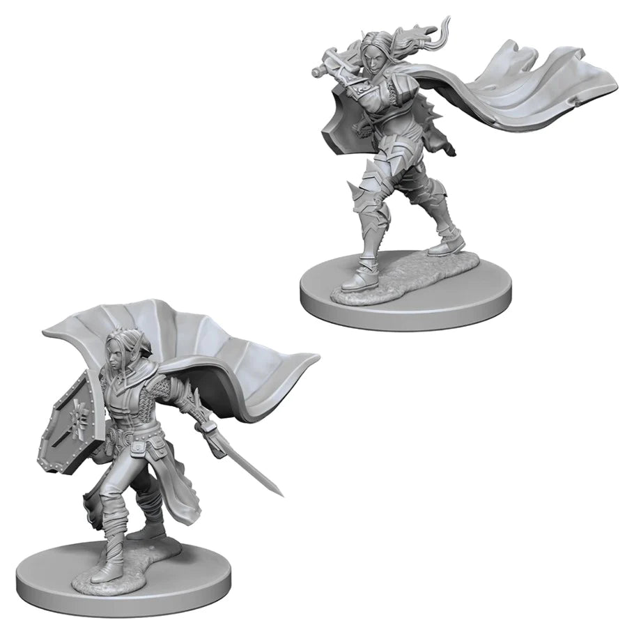 Pathfinder Deep Cuts Unpainted Miniatures: Elf Female Paladin