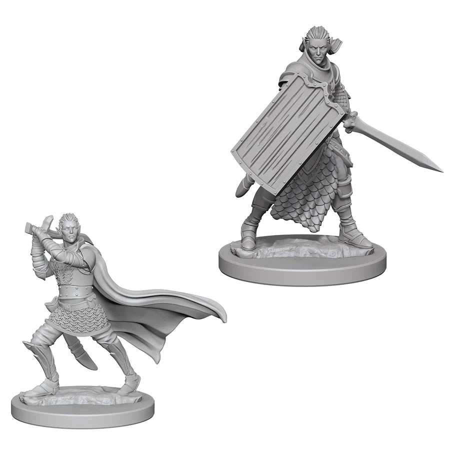 Pathfinder Deep Cuts Unpainted Miniatures: Elf Male Paladin