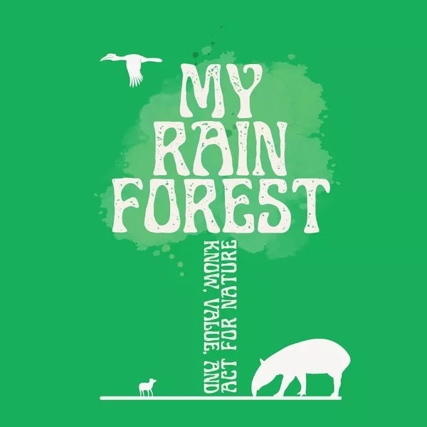 My Rain Forest