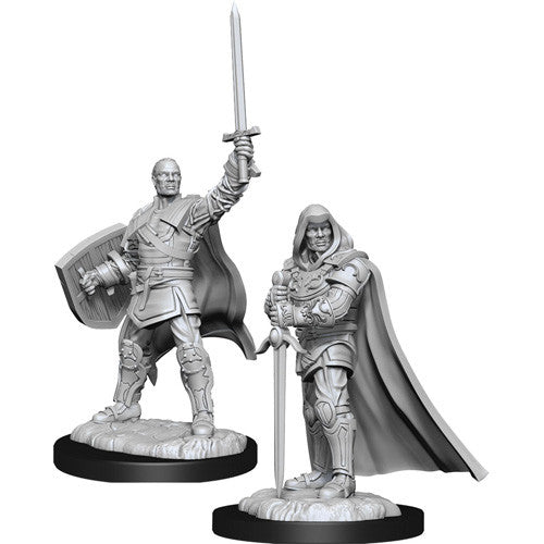 D&D Nolzur's Marvelous Miniatures: Human Paladin Male (Unpaint)